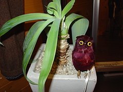 DSC04979