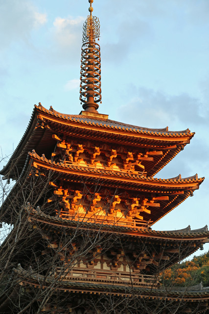 aIMG_1250