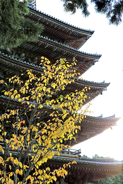 aIMG_1203