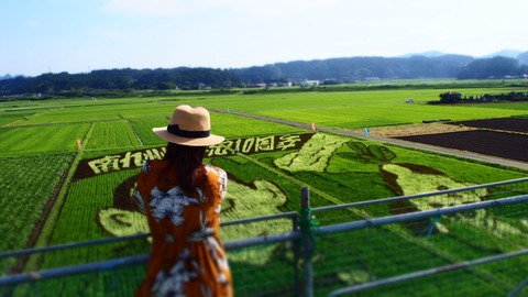 田んぼアート2
