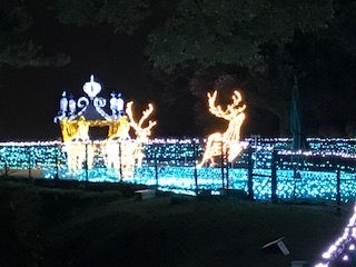 城山のイルミネーション