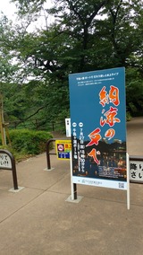 IMG_20180727_141111382-751x1335