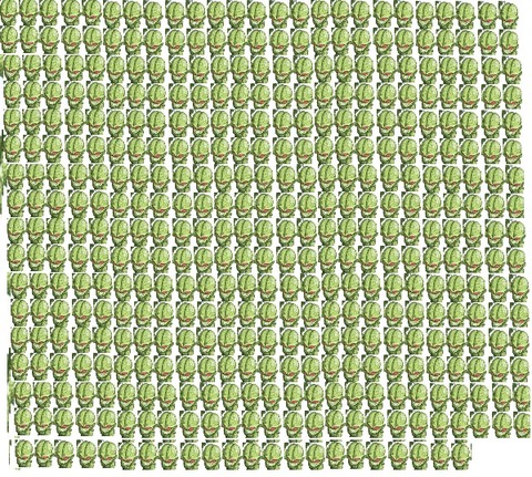 817