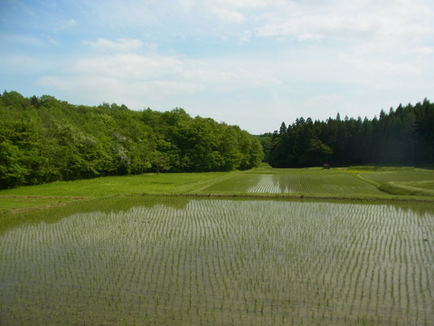 RIMG0394