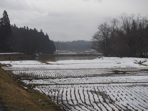 _2230040