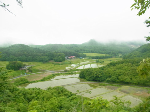 RIMG0222
