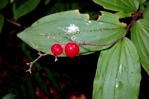 P9030001