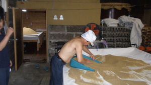 P6270004