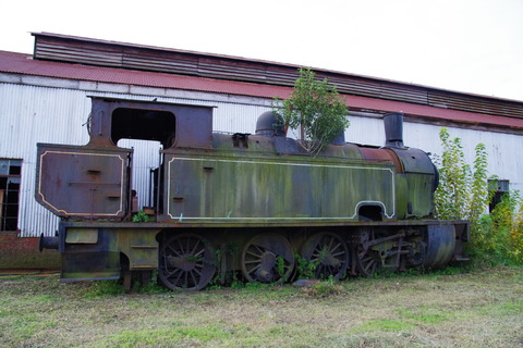 IMGP3749