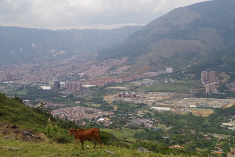 IMGP8366