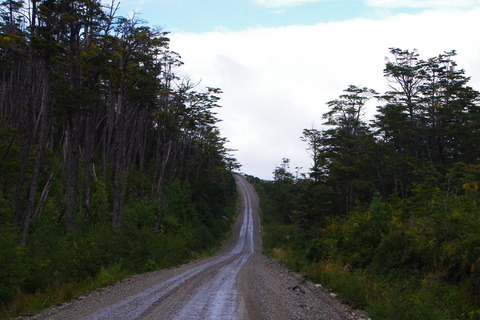 IMGP0618