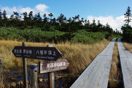 IMGP3793-1