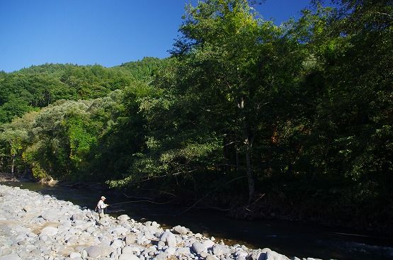 IMGP7708-1