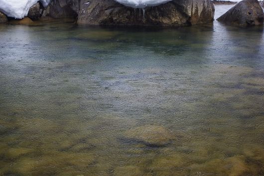 IMGP8165-1