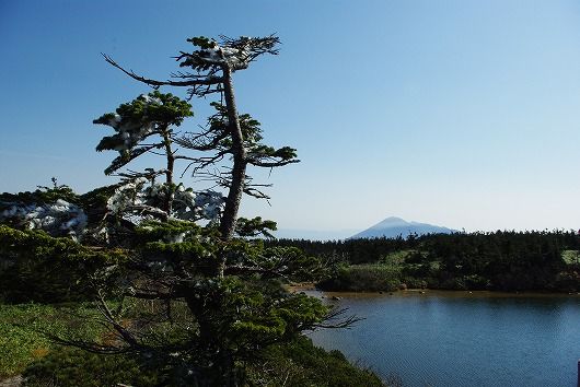IMGP7534-1