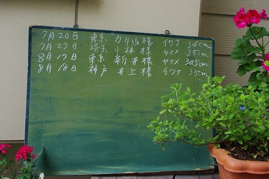 IMGP9169-1