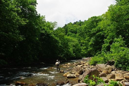 IMGP8753-1