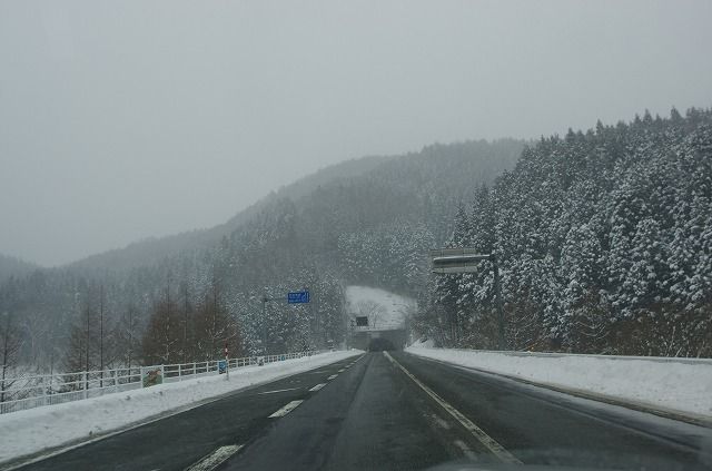 IMGP8410-1