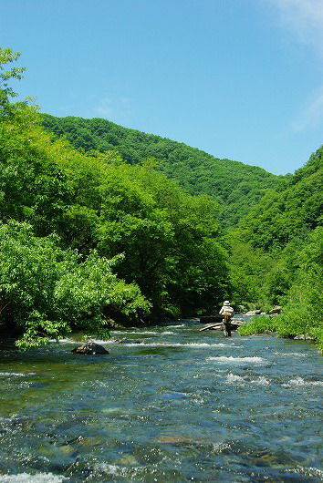 IMGP8717-1
