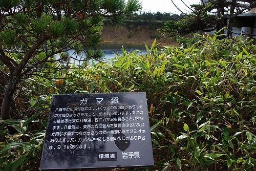 IMGP3823-1