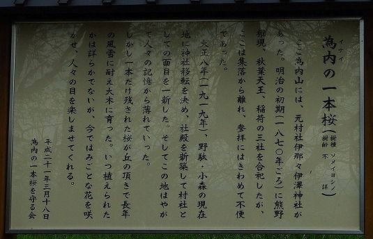 IMGP3231a-1