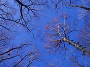 空