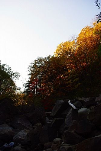 IMGP3937a-1