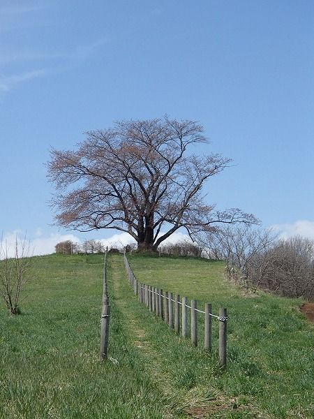 P4270002-1