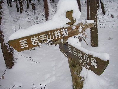 IMGP3637-1