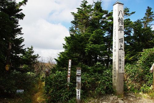IMGP3817-1