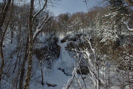IMGP8028-1