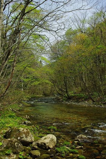 IMGP5959a-1