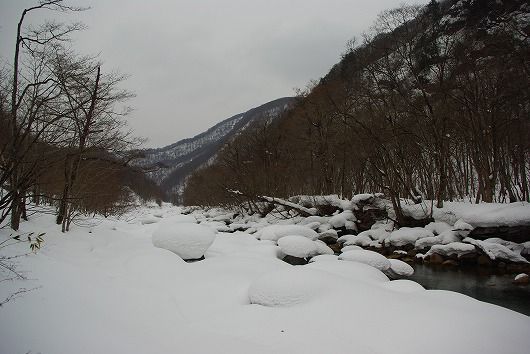 IMGP8108-1