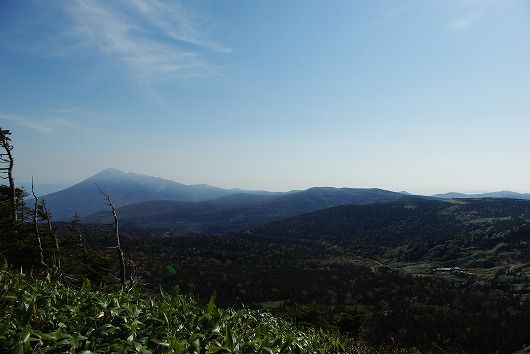 IMGP7537-1