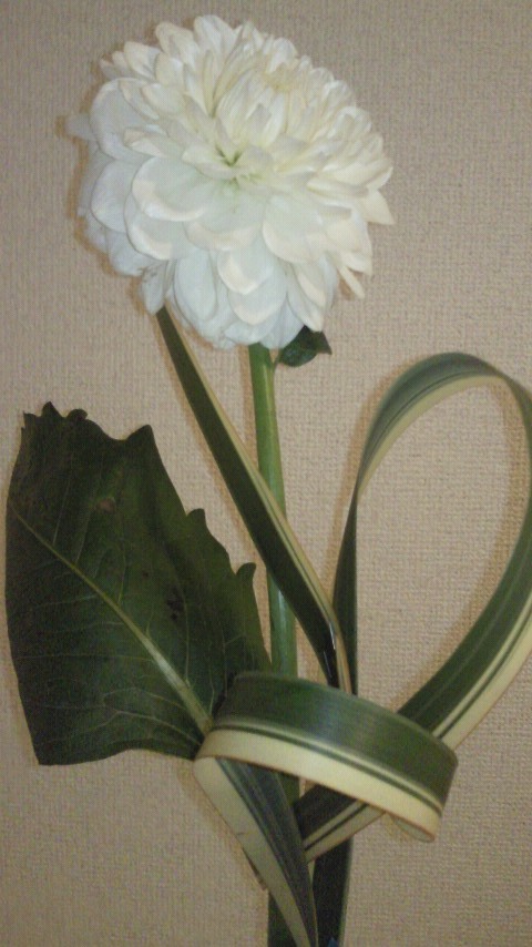 201006040111000