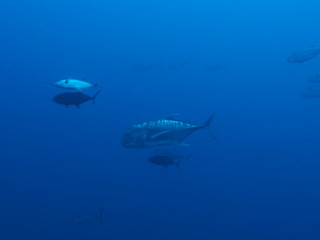 P7190702