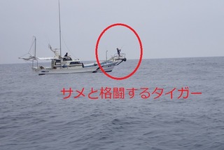 P5190134