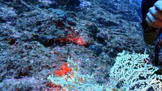 P8030014