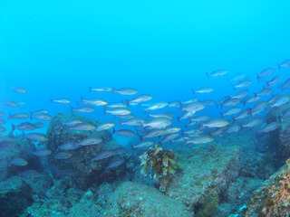P9095701