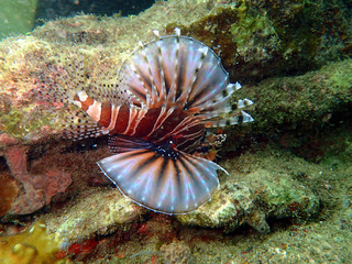 P5030071