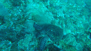 G0074597