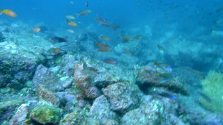DSC00272