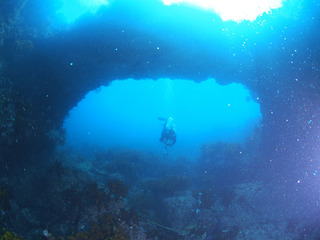 P9095646
