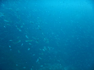 DSCN2915