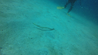 G0046947