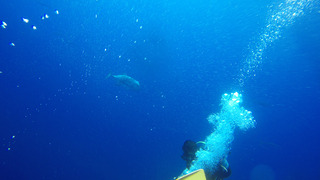 G0153118