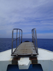 P5200037