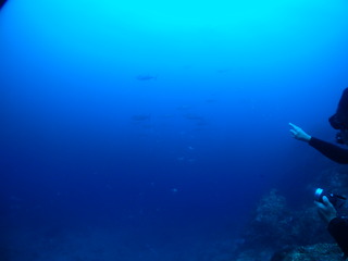 P5190128