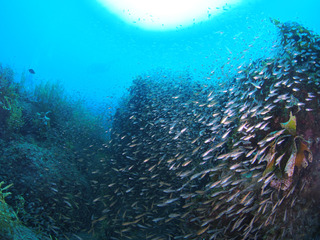 P9105723