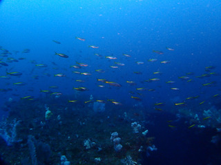P2100483